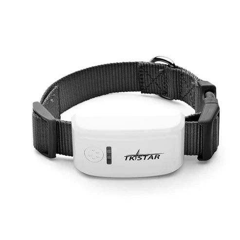 Cat GPS Tracker Locator Device for Pets ( UAE Delivery Time: 1 - 3 Days ) - MS - uaeCat GPS Tracker Locator Device for Pets ( UAE Delivery Time: 1 - 3 Days )