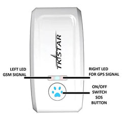 Cat GPS Tracker Locator Device for Pets ( UAE Delivery Time: 1 - 3 Days ) - MS - uaeCat GPS Tracker Locator Device for Pets ( UAE Delivery Time: 1 - 3 Days )