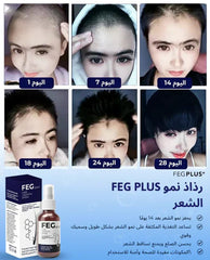 FEG Organic Hair Growth Treatment Oil - MS - uaeFEG Organic Hair Growth Treatment Oil