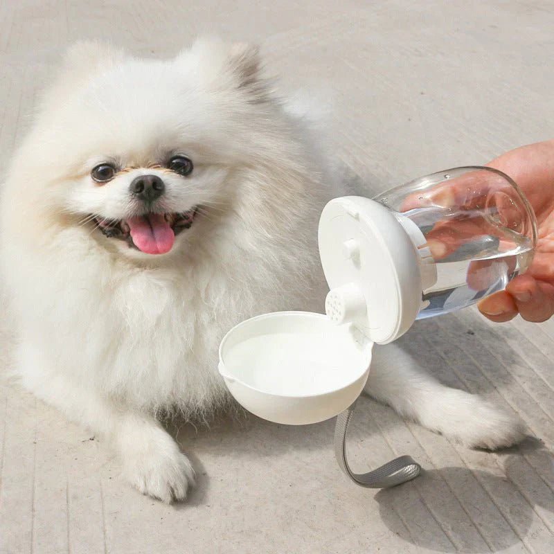 Foldable And Portable Pet Cat And Dog Outdoor Drinking Glass Pet Products ( UAE Delivery Time: 1 - 3 Days) - MS - uaeFoldable And Portable Pet Cat And Dog Outdoor Drinking Glass Pet Products ( UAE Delivery Time: 1 - 3 Days)