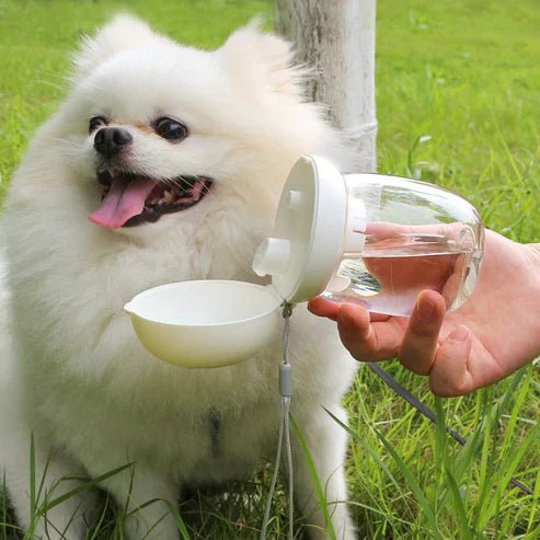 Foldable And Portable Pet Cat And Dog Outdoor Drinking Glass Pet Products ( UAE Delivery Time: 1 - 3 Days) - MS - uaeFoldable And Portable Pet Cat And Dog Outdoor Drinking Glass Pet Products ( UAE Delivery Time: 1 - 3 Days)