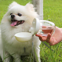 Foldable And Portable Pet Cat And Dog Outdoor Drinking Glass Pet Products ( UAE Delivery Time: 1 - 3 Days) - MS - uaeFoldable And Portable Pet Cat And Dog Outdoor Drinking Glass Pet Products ( UAE Delivery Time: 1 - 3 Days)